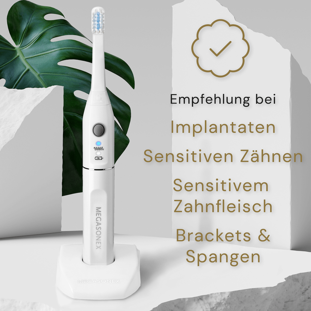 Megasonex M8 Ultraschallzahnbürste & Ersatzbürstenkopf