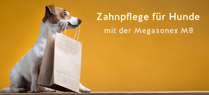 smilestore-hometeaser-hunde