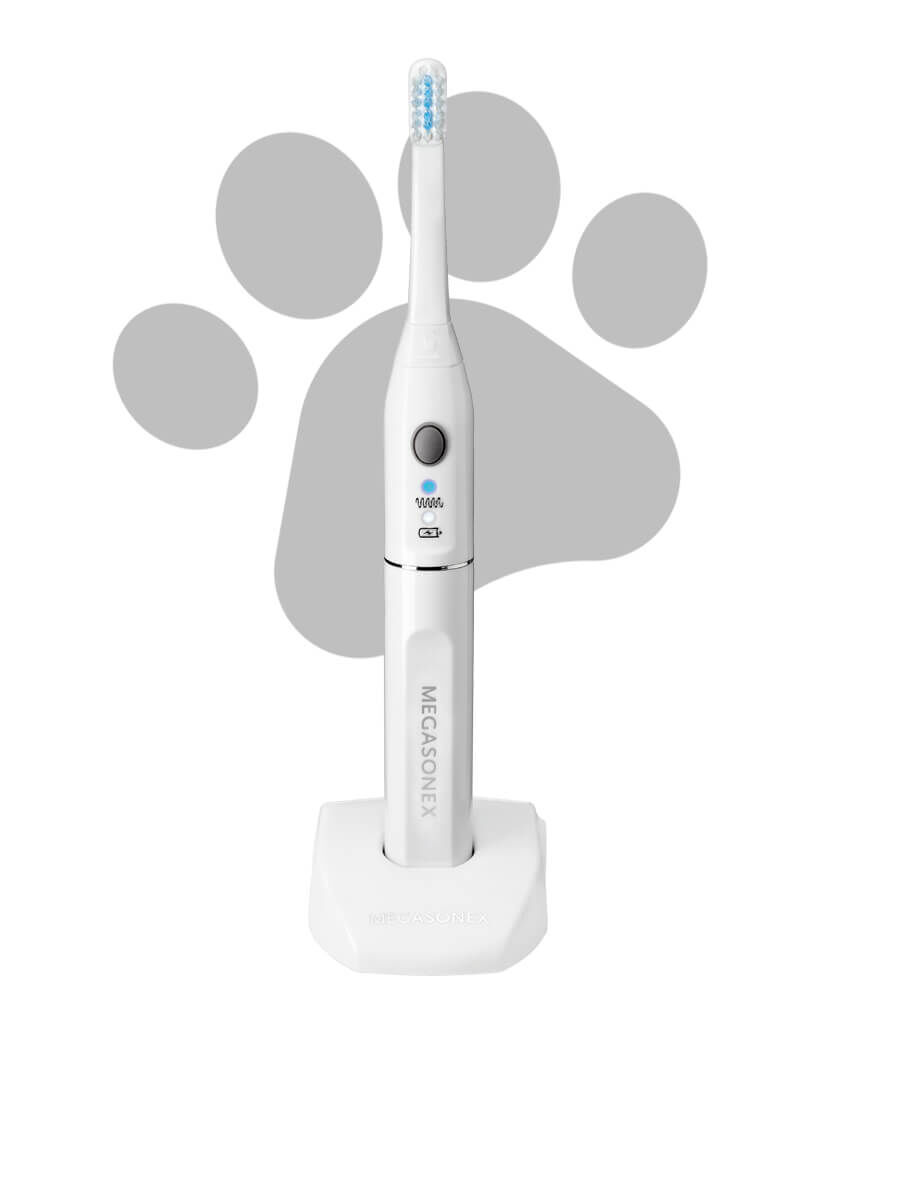 Megasonex M8 Ultraschallzahnbürste auch für den Hund